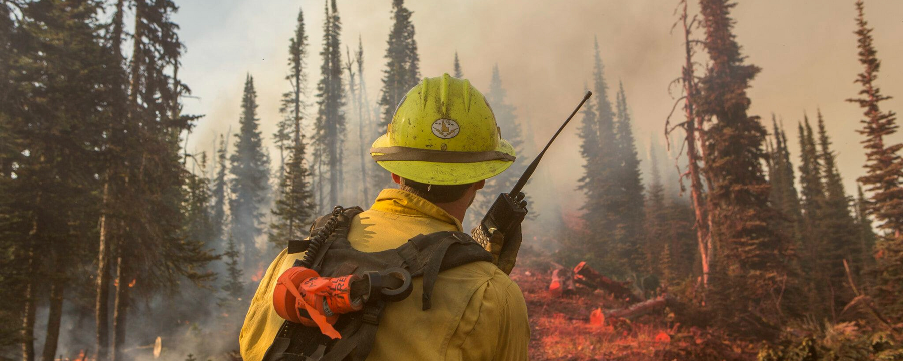 A wildland firefighter is shown in a forest with flames in the background. They are holding a radio.